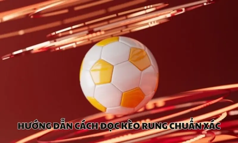 Hướng dẫn cách đọc kèo rung chuẩn xác