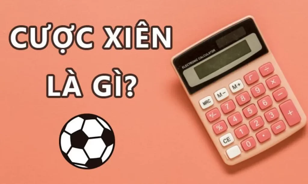 Bí Quyết Thành Công Khi Tham Gia Cược Xiên Là Gì